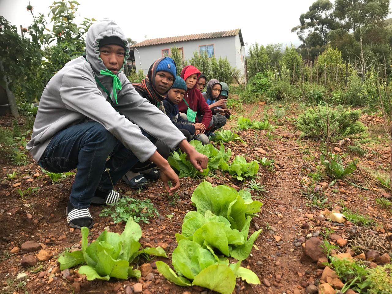 Young people from Genadendal in a vegetable garden
